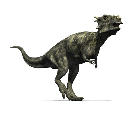 Dracorex 恐竜は白亜紀後期の期間 3 D のレンダリング中に北アメリカに住んでいた の写真素材 画像素材 Image