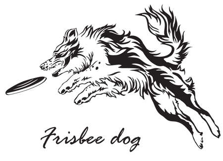 青と赤の背景に隔離された犬 ボーダーコリー とベクターカラフルなイラスト プロファイルビューのふわふわした黒と白の犬ジャンプと赤いプラスチックディスクをキャッチ のイラスト素材 ベクタ Image 青と赤の背景に隔離された犬 ボーダーコリー とベクターカラフルなイラスト プロファイルビューのふわふわした黒と白の犬ジャンプと赤いプラスチックディスクをキャッチ のイラスト素材 ベクタ Image