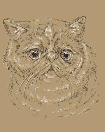 猫の肖像画を持つ垂直はがき エキゾチックショートヘア 深生 ベンガル ビルマ メインクーン猫 茶色の背景に隔離されています ベクトルカラフルなイラスト のイラスト素材 ベクタ Image 猫の肖像画を持つ垂直はがき エキゾチックショートヘア 深生 ベンガル ビルマ メインクーン猫 茶色の背景に隔離されています ベクトルカラフルなイラスト のイラスト素材 ベクタ Image