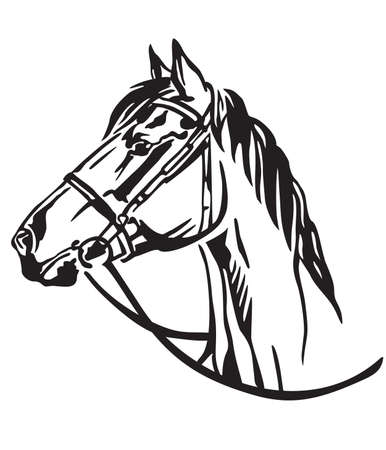 Horse Head Stock Vector Illustration And Royalty Free Horse Head Clipart,Waning Crescent Moon Line Drawing