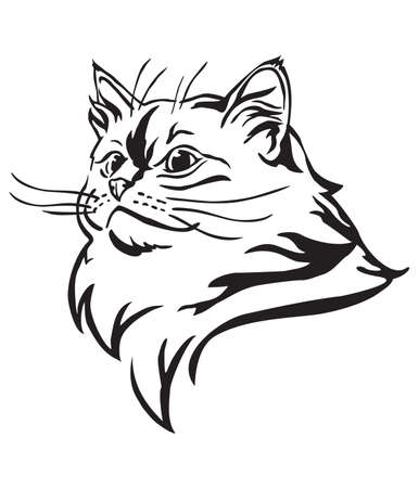 470 Collections Ragdoll Cat Coloring Pages Best