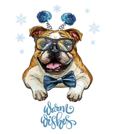 Christmas dog bulldog vector hand drawn illustration Векторная Иллюстрация