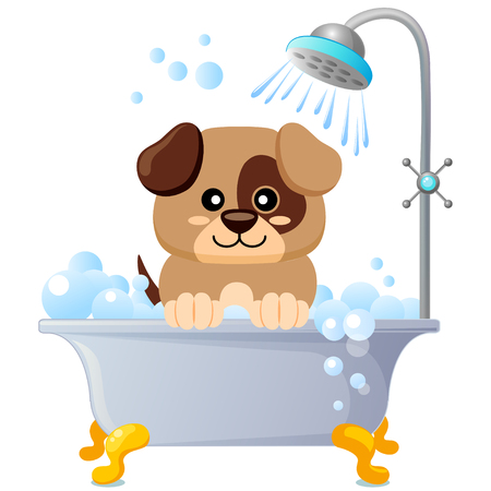 犬を取る石鹸シャンプー泡動物愛好家ベクトルとグルーミングお風呂ウェット のイラスト素材 ベクタ Image 犬を取る石鹸シャンプー泡動物愛好家ベクトルとグルーミングお風呂ウェット のイラスト素材 ベクタ Image