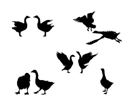 flying goose goose vector silhouette collection for designers