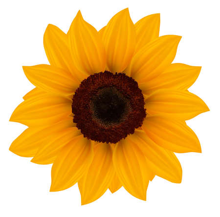 Free Free 81 Flower Clipart Sunflower Svg Black And White SVG PNG EPS DXF File