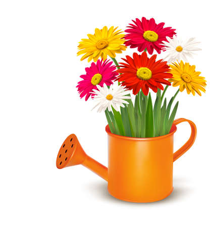 Colorful fresh spring flowers in orange watering can. Vector illustration