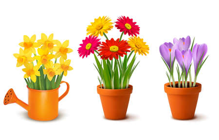 Collection of spring and summer colorful flowers in pots and watering can. Vector Иллюстрация