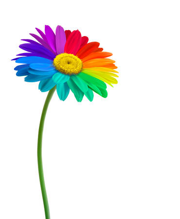 Rainbow daisy flower background. Vector.