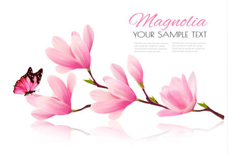 butterfly: nền hoa với chi nhánh hoa của hoa mộc lan hồng và bướm. vecto Hình minh hoạ