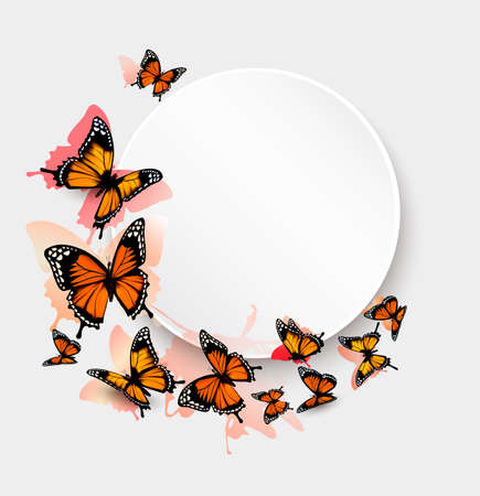 butterfly: nền bướm đẹp và thẻ quà tặng.