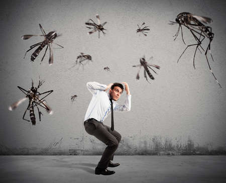 Giant mosquitoes attacking a frightened scared man Stock Photo - 58988786