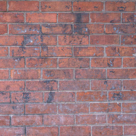 床または地面の上のタイル大理石の床の背景 床タイルのテクスチャ レンガの歩道の背景 の写真素材 画像素材 Image 床または地面の上のタイル大理石の床の背景 床タイルのテクスチャ レンガの歩道の背景 の写真素材 画像素材 Image