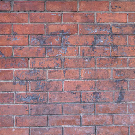 床または地面の上のタイル大理石の床の背景 床タイルのテクスチャ レンガの歩道の背景 の写真素材 画像素材 Image 床または地面の上のタイル大理石の床の背景 床タイルのテクスチャ レンガの歩道の背景 の写真素材 画像素材 Image