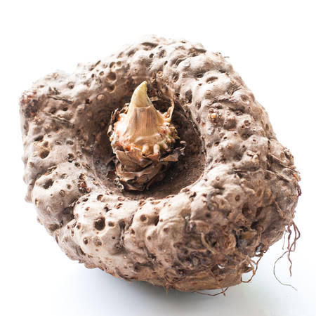 elephant yam stanley s water tub konjac stock photo picture and