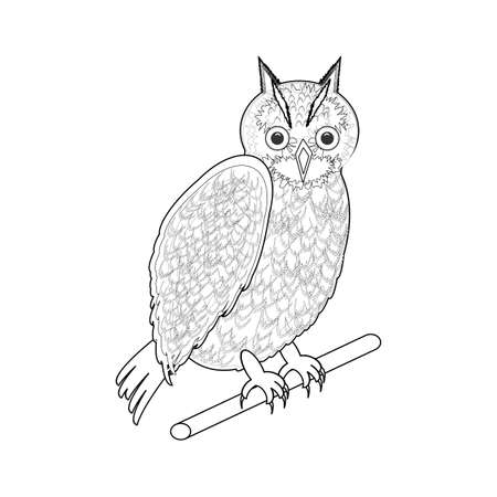 角状のカエルのリアルなイラストのイラスト素材 ベクタ Image