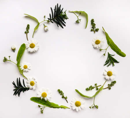 Colorful summer round frame with herbs and flowers. Flat lay on white table Фото со стока
