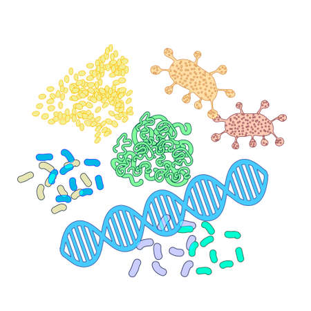 模式的簡体字のタンパク質分子の多様な構造 イラストや情報グラフィックの要素 白の背景にベクトル のイラスト素材 ベクタ Image 模式的簡体字のタンパク質分子の多様な構造 イラストや情報グラフィックの要素 白の背景にベクトル のイラスト素材 ベクタ Image
