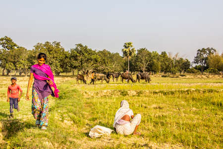 Nepali Bauern Am Stadtrand Von Janakpur Nepal Nach Hause Zu Fuss Von Feldarbeit Sie Sind In Bunten Kleidern Lizenzfreie Fotos Bilder Und Stock Fotografie Image 30883233