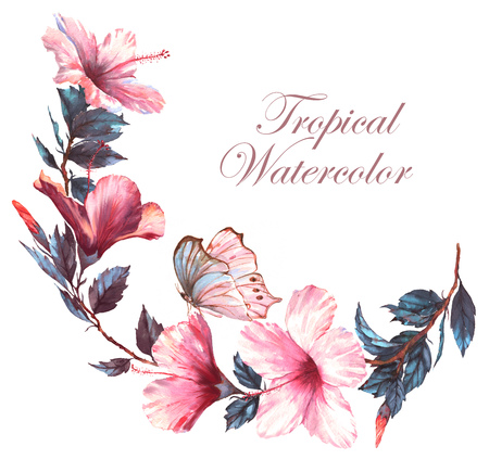 ピンクのハイビスカスの花と熱帯蝶と柔らかい白い組成物の手描きの水彩花のイラスト 白い背景に隔離された自然描画 ロマンチックな花 の写真素材 画像素材 Image ピンクのハイビスカスの花と熱帯蝶と柔らかい白い組成物の手描きの水彩花のイラスト 白い背景に隔離された自然描画 ロマンチックな花 の写真素材 画像素材 Image