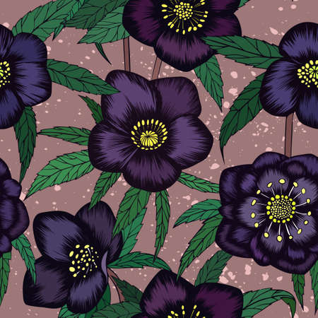 136 Helleborus Vektorgrafiken Cliparts Und Illustrationen Kaufen 123rf