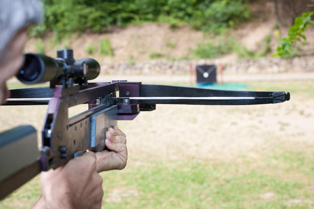 targeting with a scoped crossbow stock photo picture and royalty