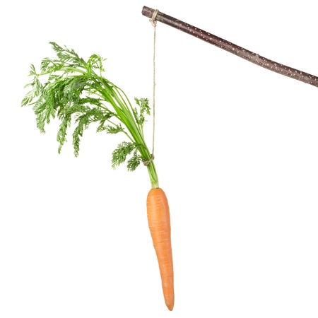 a carrot: Carrot trên một cây gậy bị cô lập trên nền trắng Kho ảnh