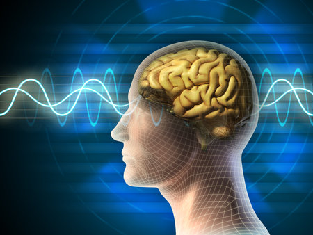 Cabeça e cérebro humanos.  Diferentes tipos de formas de onda produzidas pela atividade cerebral mostradas no fundo.  Ilustração digital.  Banco de Imagens - 31970165