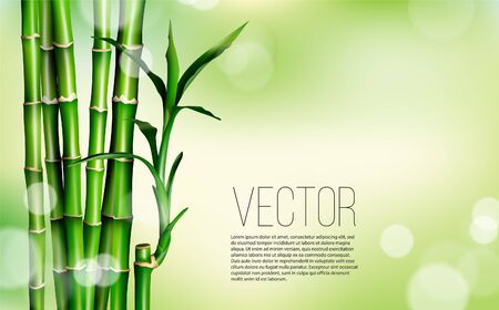 7 342 竹の壁紙 のイラスト素材 ベクター 123rf 7 342 竹の壁紙 のイラスト素材 ベクター 123rf
