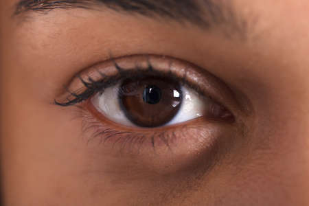 556 812 Yeux Marron Imagenes Y Fotos 123rf