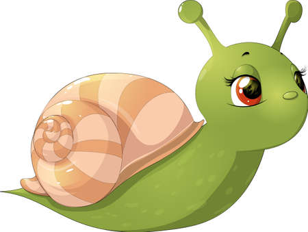beautiful cute snail with a house on his back