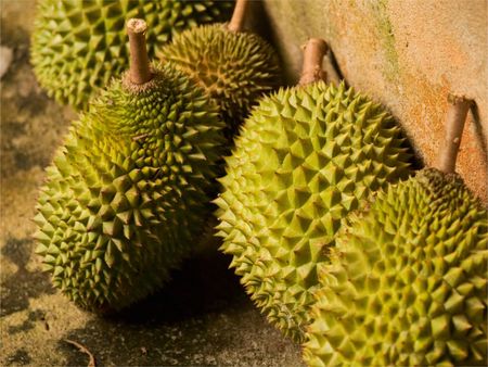 Durian: Durian for Life