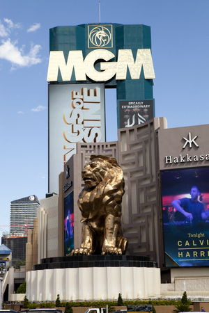 動物の壁紙 Hd限定mgm ライオン 素材