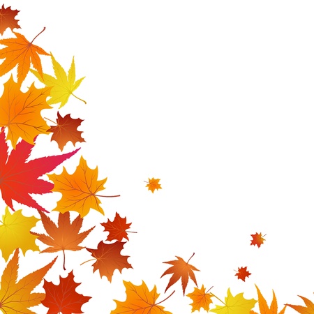 秋モミジの葉背景を落ちるします イラスト のイラスト素材 ベクタ Image 秋モミジの葉背景を落ちるします イラスト のイラスト素材 ベクタ Image