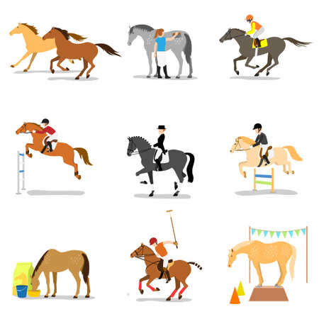 Equestrian sports and activities Stock Photo