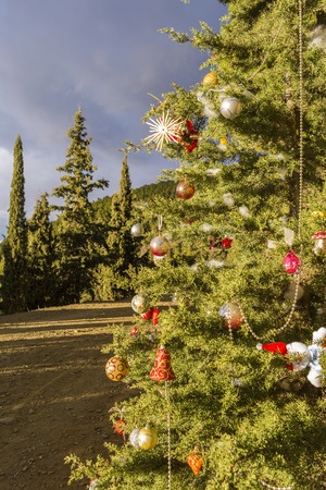 decorated christmas tree in the forest at nature background stock christmas in the forest