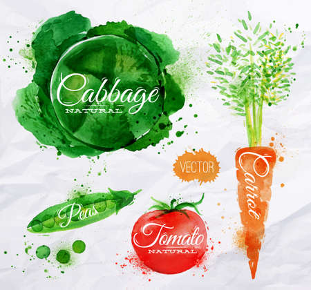 a carrot: Rau rút thiết lập blots màu nước và vết bẩn với một phun bắp cải, cà rốt, cà chua, đậu Hà Lan