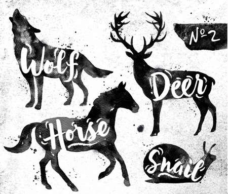 Silhouettes of animal deer, horse, snail, wolf drawing black paint on background of dirty paper