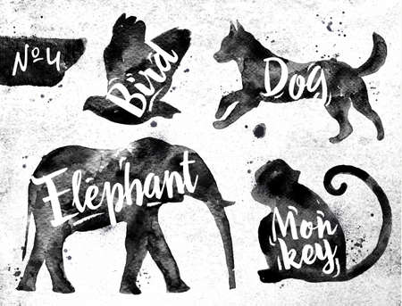 elephant: Bóng của chim nuôi, chó, khỉ, voi vẽ sơn màu đen trên nền giấy bẩn