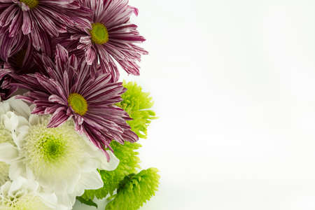 ガーベラと菊の花とピンクのブーケ の写真素材 画像素材 Image