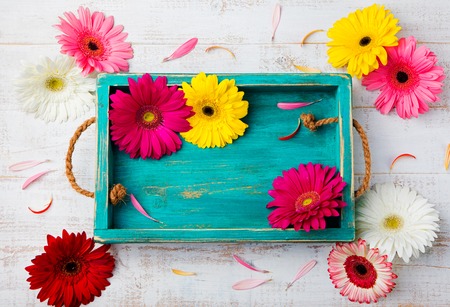 白い木製の背景にカラフルなガーベラ の写真素材 画像素材 Image