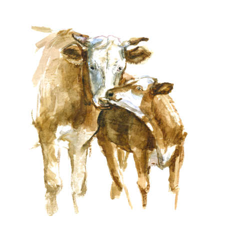 水彩牛のセットです ママの牛および子牛 キュートなイラスト の写真素材 画像素材 Image 88930065