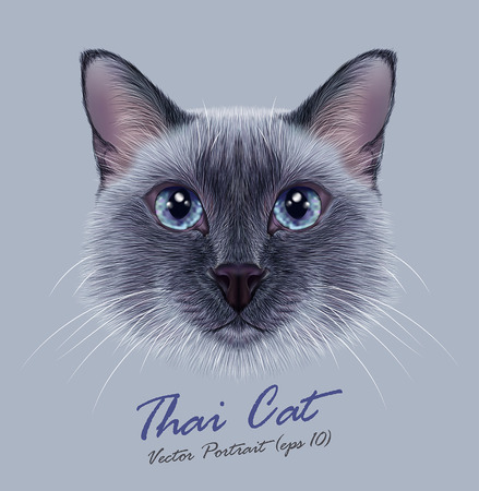 Vector Illustrative Portrait of a Thai Cat. Cute blue point Traditional Siamese Cat. Illustration