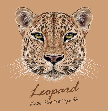 Вектор Показательный Портрет Leopard. Милые лица африканского леопарда