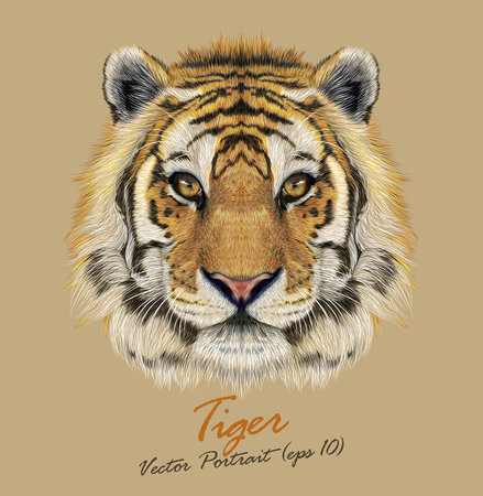 Vector Portrait of a Tiger. Beautiful face of big cat.