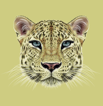 Illustrative Portrat Von Leopard Nettes Gesicht Der Afrikanischen Leopard Mit Blauen Augen Lizenzfreie Fotos Bilder Und Stock Fotografie Image