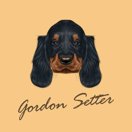 ゴードン セッターの犬のベクトル イラスト肖像画 黄色の背景の上に犬の狩猟犬のかわいい顔 のイラスト素材 ベクタ Image