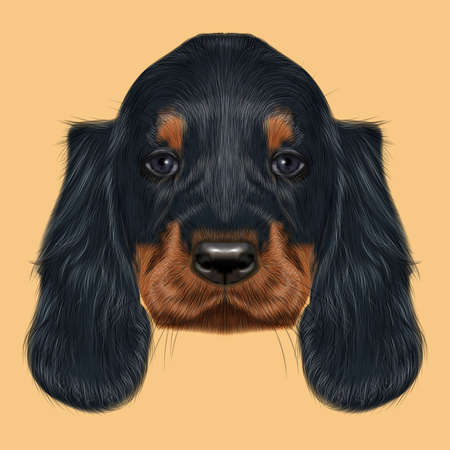 イラスト肖像画のゴードン セッターの犬 青の背景に国内の子犬のかわいい黒い巻き毛顔 の写真素材 画像素材 Image
