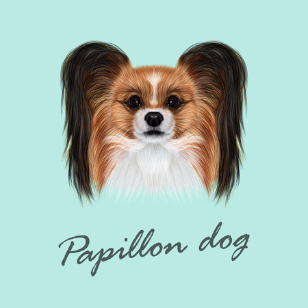 パピヨン犬のイラスト素材 ベクタ Image