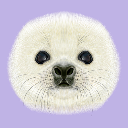 Illustre Portrait De Harp Seal Pup Visage Pelucheux Mignon De Bebe Phoque Du Groenland Sur Fond Bleu Banque D Images Et Photos Libres De Droits Image Illustre Portrait De Harp Seal Pup Visage Pelucheux Mignon De Bebe Phoque Du Groenland Sur Fond Bleu Banque D Images Et Photos Libres De Droits Image