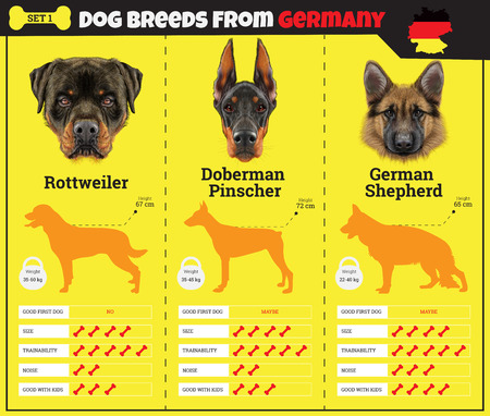 jaman shapath dog jaman shapath dog